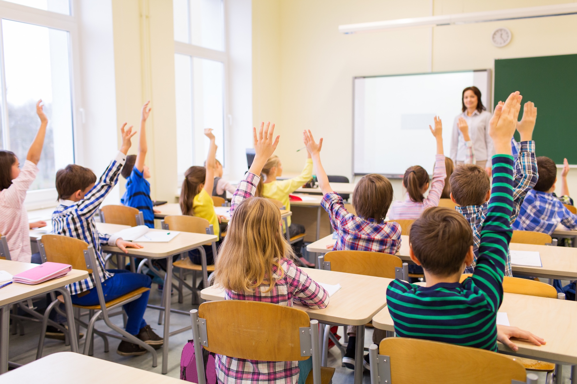 Students raising hands in classroom